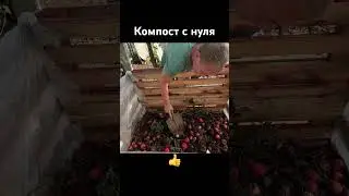 Компост с нуля