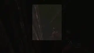 Баскетбольная от дикуса #tarkov