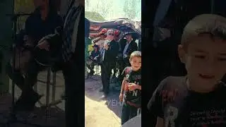 Сурудҳои туёна