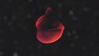 KSHMR - Heartbeat (Ali Nadem Remix)