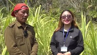 DDK Kut Hnathawktute Pual:-Lungleng I khua a fu huan siamtute kawmna
