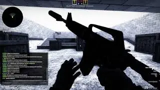 Cs GO наказываю рачка