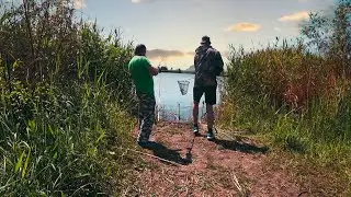 Тут много карпа. Рыбалка с ночёвкой на карпа. Хороший клёв на снасть флэт фидер