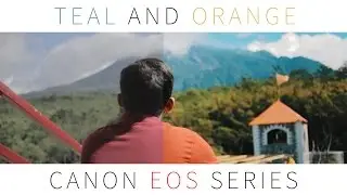 Cara Dapetin Warna Teal & Orange Dengan LUT di Adobe Premiere Pro