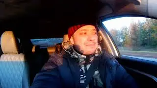Выгнали из леса.