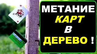 Throwing a card into a tree - a new throwing technique !!!