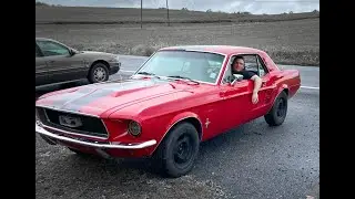 THIS IS MY DREAM CAR! '67 Mustang