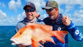Dundee Beach & the Crazy 15 Species Challenge Part 2