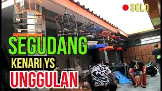 GREBEK DADAKAN..!! Rumah Kenari YS Prestasi Milik Rumah Makan Gongso Solo.