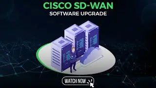 Cisco SD-WAN Software Upgrade: Step-by-step Guide