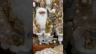 New Year and Christmas? #newyear#merrychristmas