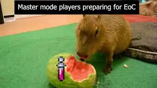 terraria shitpost #1