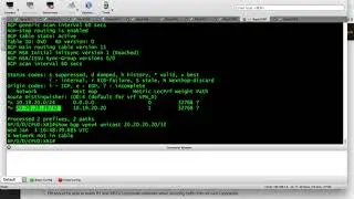 INE CCIE SP: MPLS L3 VPN Central Services Part. 2