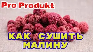 Как сушить малину