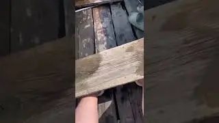 Иногда в этом мире за нас все решает судьба, а не мы сами.