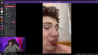 шадоукек напился на стриме