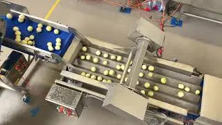 UVC LOCK line for deinfection of peeled onions