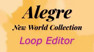 Walkthrough Wellencraft Alegre PART 2 Loop Editor