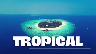 No Copyright Tropical - Summer Background Music, Upbeat Instrumental Music, Tobjan - Coconut Island
