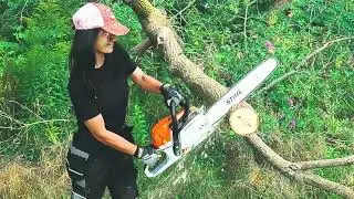 My First Chainsaw (and first time using it)!