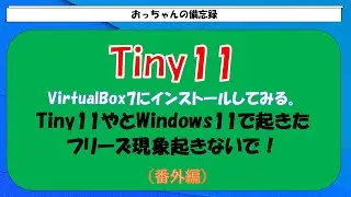 I installed Tiny11 on VirtualBox7.