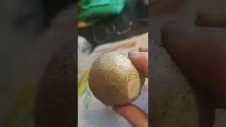 Луговые Шампиньоны.Самый вкусный сорт 😋!Есть возражения??🤨🫶