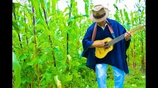 OTAVALEÑO MUERE ARRECHO * EN LA CHACRA