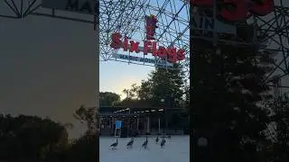 Unusual Six Flags guests! 😂😂😂 #geese #goose #sixflags #funny 🪿🪿🪿🪿