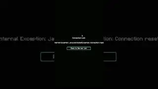 Minecraft Java Socket