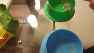 My Hamster cage cleaning routine and a surprise!!!