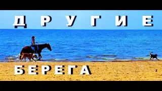 Беломля: Я СОЧИНИЛА ПРИМЕРНО ЧЕТЫРЕ СТИШКА,ибо не шибко тонка в моей тушке кишка (Келломяки, Легеза)