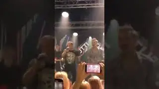 Про белые розы. Очень приятная песня ! #юрийшатунов #димабилан #лайк #рекомендации #story #top #рек