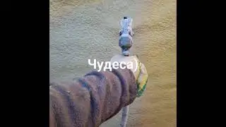 18 февраля 2024 г.