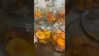 Персиковый компот закрутки @Armen_kulinariya