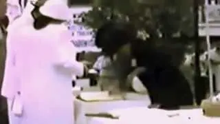 Imagens Raras da Cultura Racional