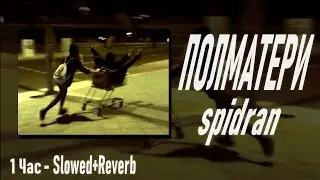 ПОЛМАТЕРИ - spidran (Slowded+Reverb) 1ЧАС