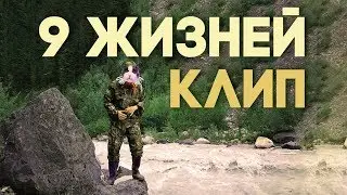 Клип 9 жизней