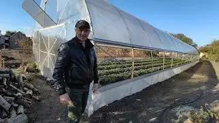 How to cover a greenhouse with film from A to Z. Lateral ventilation of a greenhouse