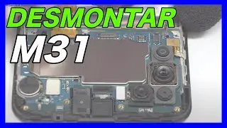 Disassemble Samsung M31