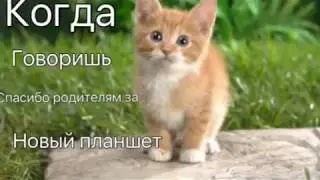 Когда...