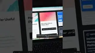 web developer  