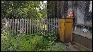 Утро , Чагода, Сергей в гостях.