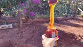 COMO FAZER MELADO DE CANA