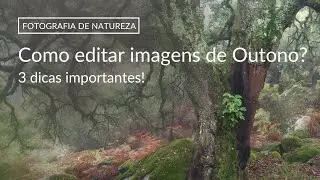 FOTOGRAFIA DE NATUREZA | Dicas para editar as tuas fotografias de Outono | Lightroom