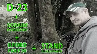 D-23 + Sodium Hydroxide + Stand Development