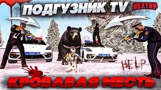ПОДГУЗНИК TV НА НЕКСТ РП - NEXT RP MTA