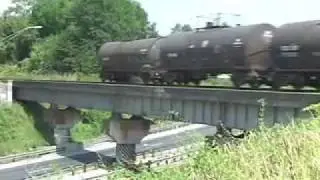 Tampa Today The S-Line 6/16/07