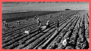 Americans are Worried About the Food Chain, Here is How it was Built