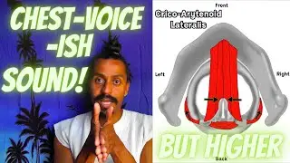 The CricoArytenoid Lateralis Sound: Beyond Chest Voice  – Anatomical Vocal Training (64)