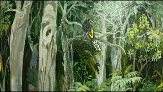 Making of a Forest Bird Virtual Field Trip